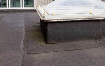 disadvantages of Way Village flat roofs