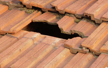 roof repair Way Village, Devon